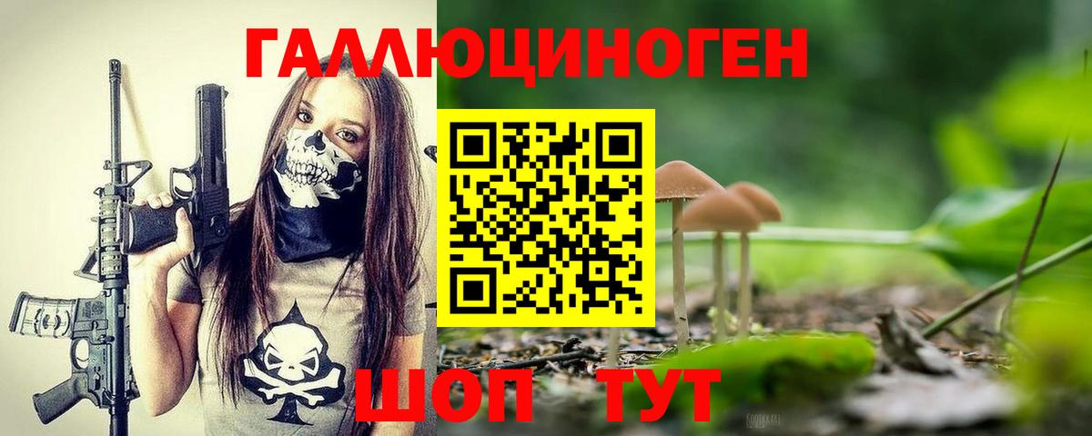 Псилоцибиновые грибы мицелий Всеволожск